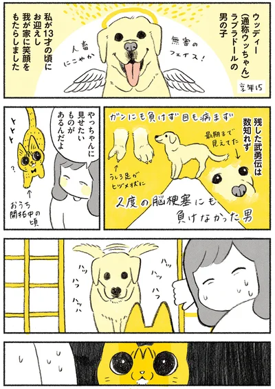 やっちゃんとウッちゃん