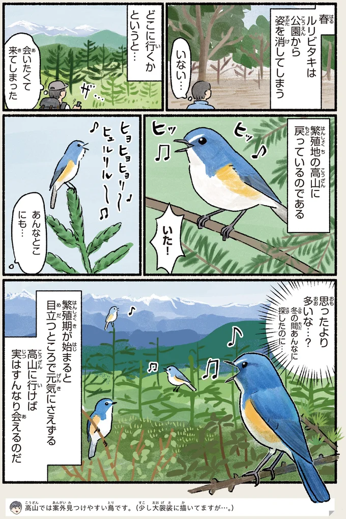 『まだまだ！意外と知らない鳥の生活』より
