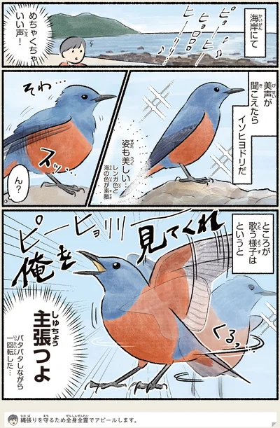 『まだまだ！意外と知らない鳥の生活』より