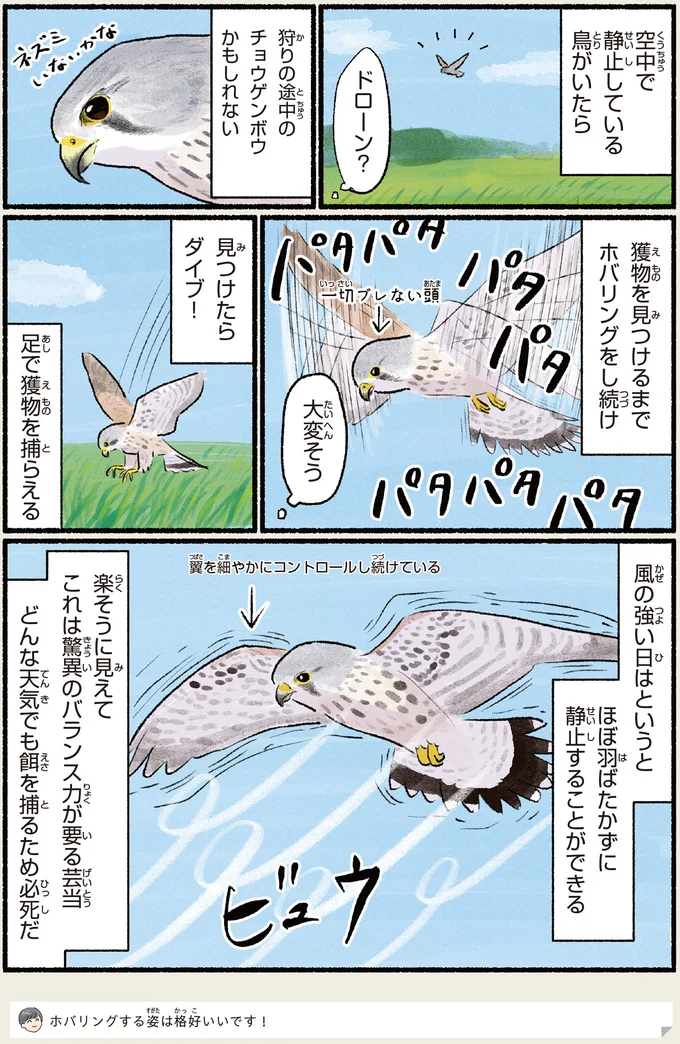 『まだまだ！意外と知らない鳥の生活』より