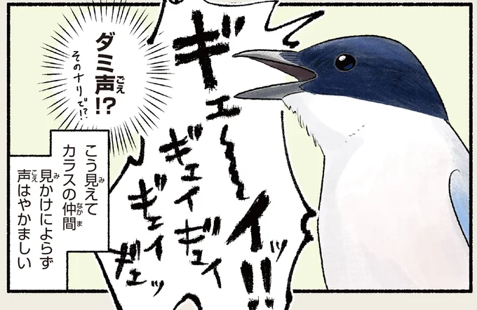 ダミ声!?
