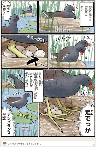 大きな足が便利