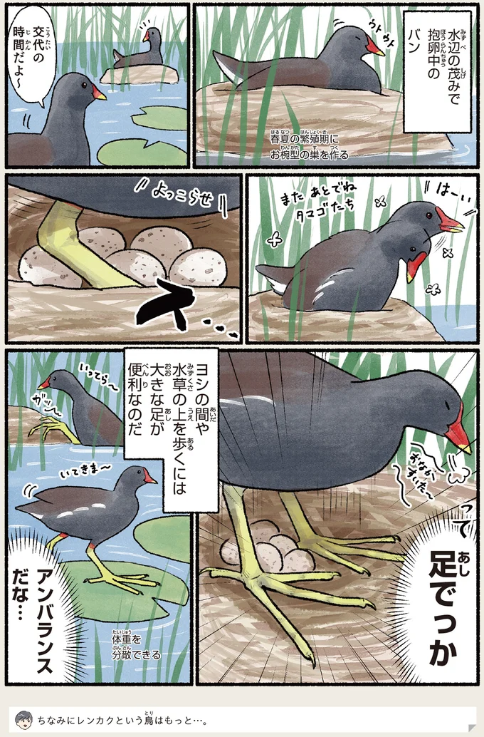 大きな足が便利