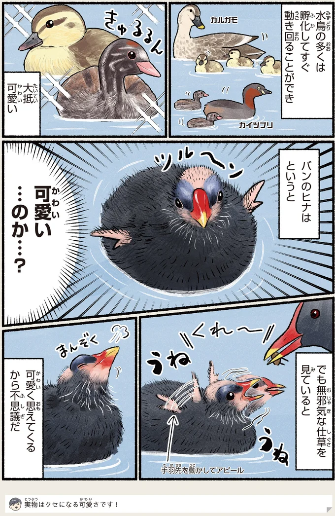 可愛い…のか…?