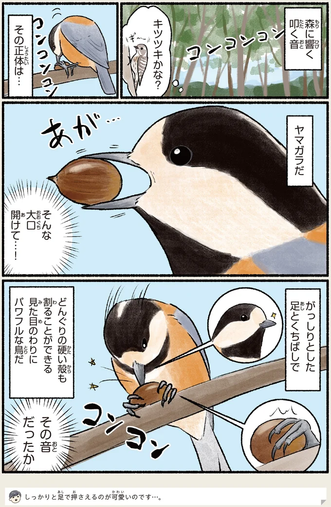 キツツキかな？