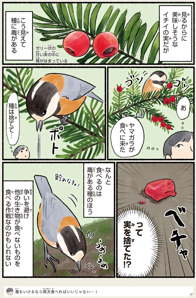実を捨てた！？