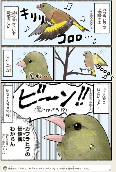 ビーン！！