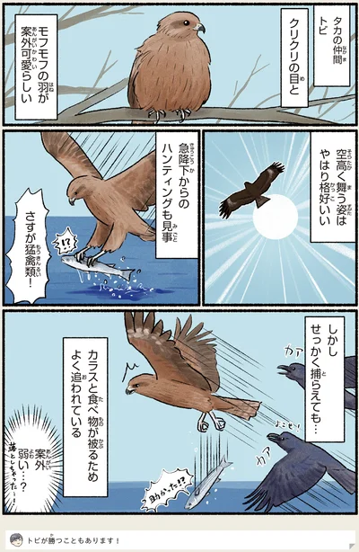 ハンティングも見事