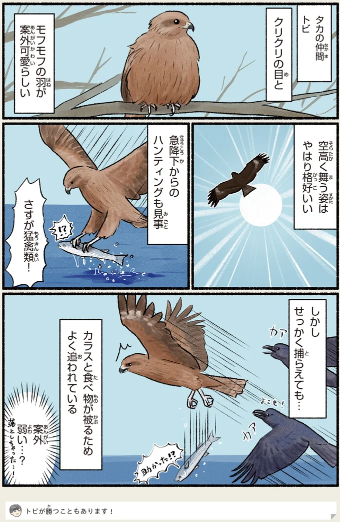 ハンティングも見事