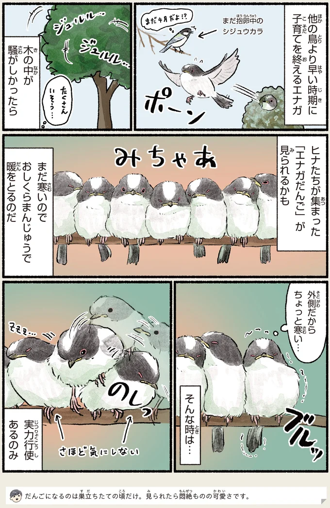木の中が騒がしかったら