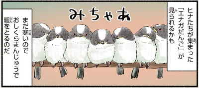 エナガだんご