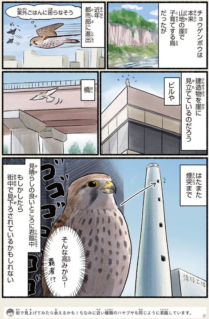 そんな高みから！