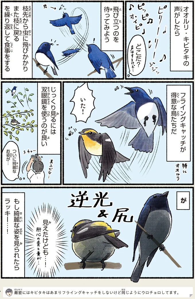 飛び立つのを待ってみよう