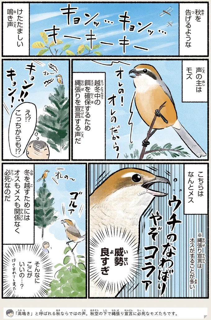 声の主はモズ