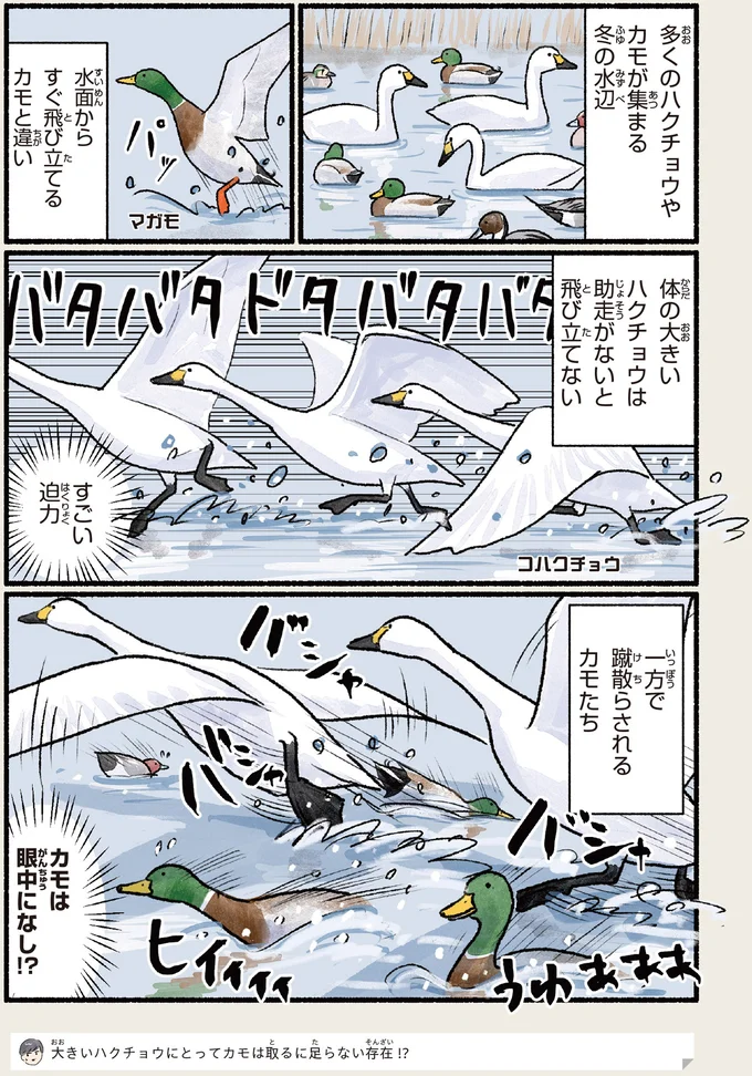 助走がないと飛び立てない