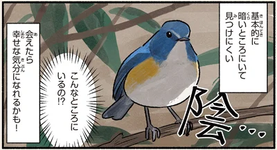 会えたら幸せな気分になれるかも！