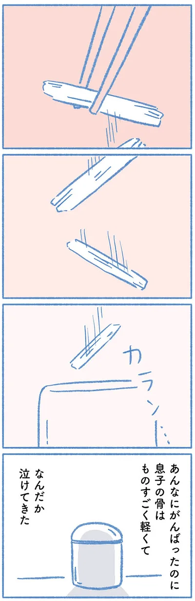 『明日、息子は空に還る 小児白血病と闘った家族の10年』より