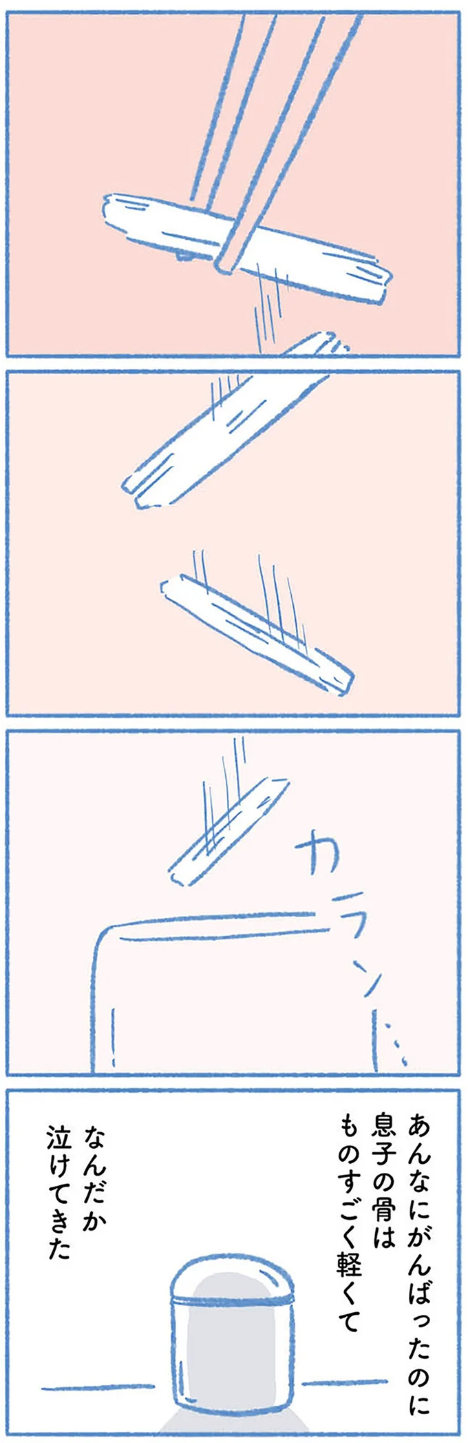『明日、息子は空に還る 小児白血病と闘った家族の10年』より