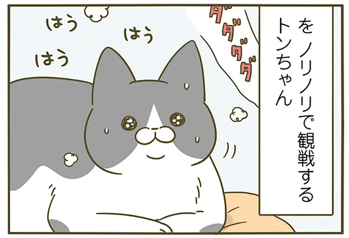ノリノリで観戦