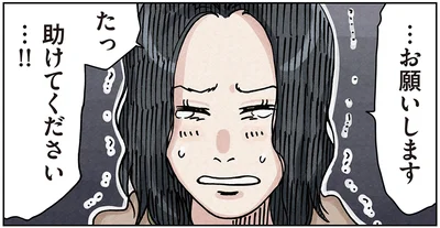 …お願いします助けてください…！！