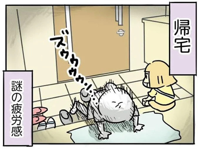 謎の疲労感
