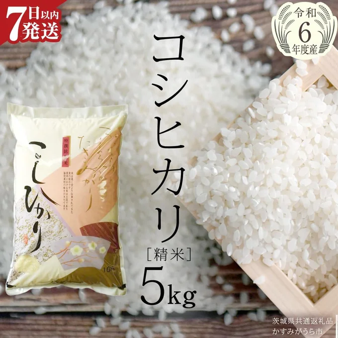 【 令和6年産 】 コシヒカリ 精米 5kg (5kg × 1袋) (茨城県共通返礼品 かすみがうら市)