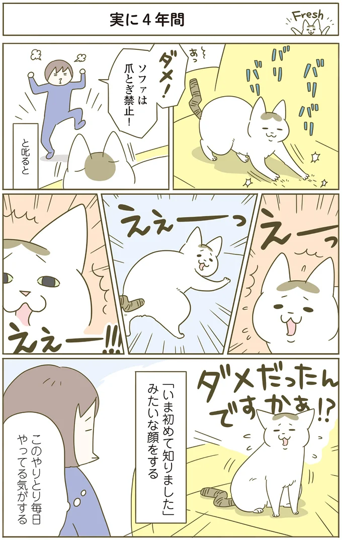 このやりとり毎日やってる気がする