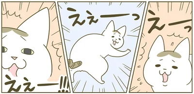 えぇーっ！！
