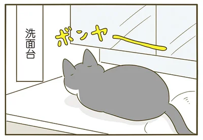 ボンヤー