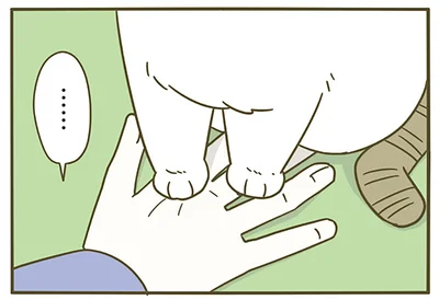 飼い主の手を踏む猫の真意は…？