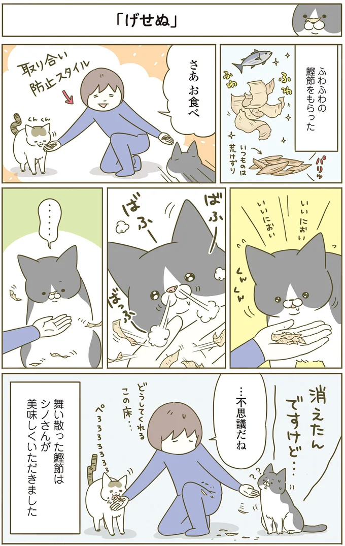 消えたんですけど…
