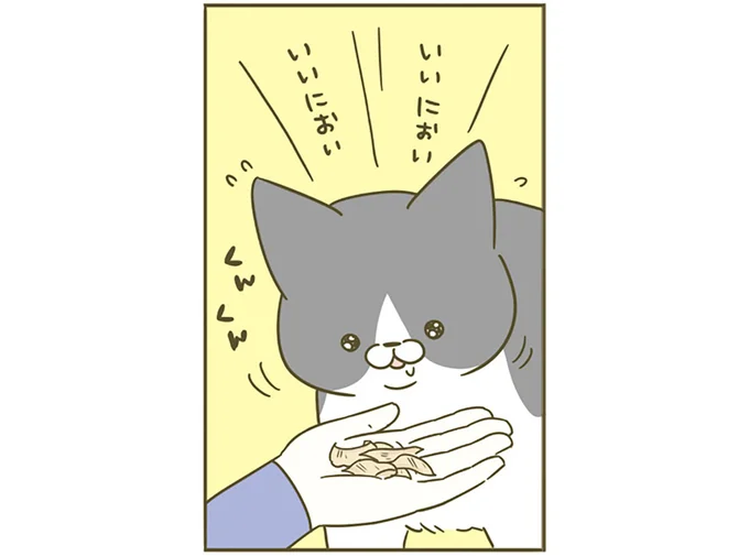 いいにおいいいにおい