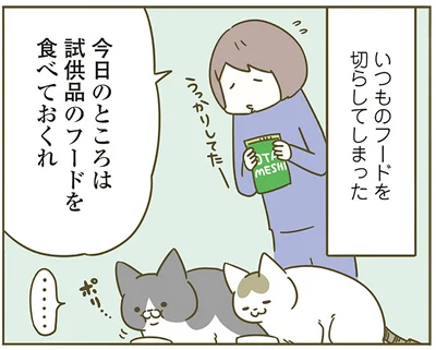 試供品のフードを食べておくれ