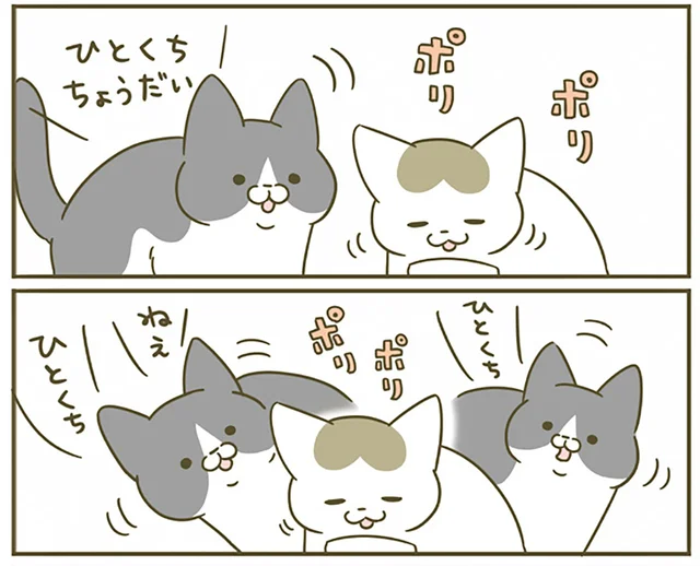 しょっちゅうごはんを横取りされていた後輩猫。けれど貫禄が出てきたようで？