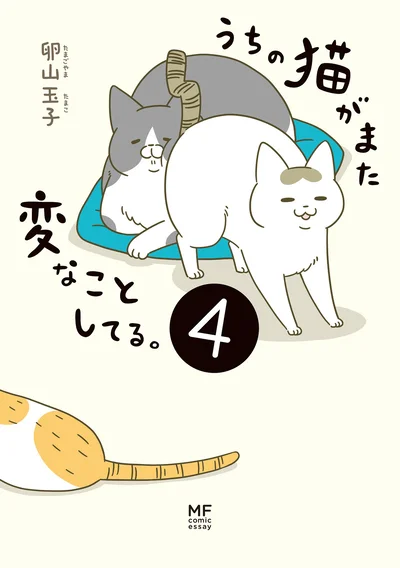 今日も2匹とのモフモフな毎日が始まる！『うちの猫がまた変なことしてる。4』