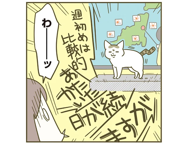 うわぁやめて!! テレビのスピーカーを買って度々起こる、猫による音量アップ事故