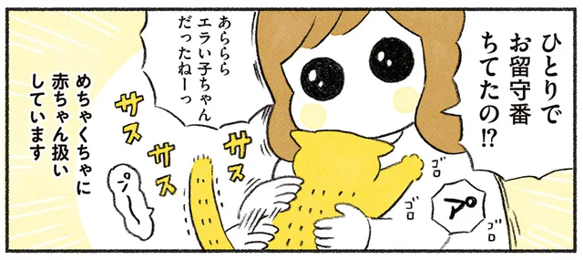飼い主もついママ気分に！ 幼児っぽさ全開の我が家の愛猫が可愛すぎる／茶トラのやっちゃんとちーちゃん（1）