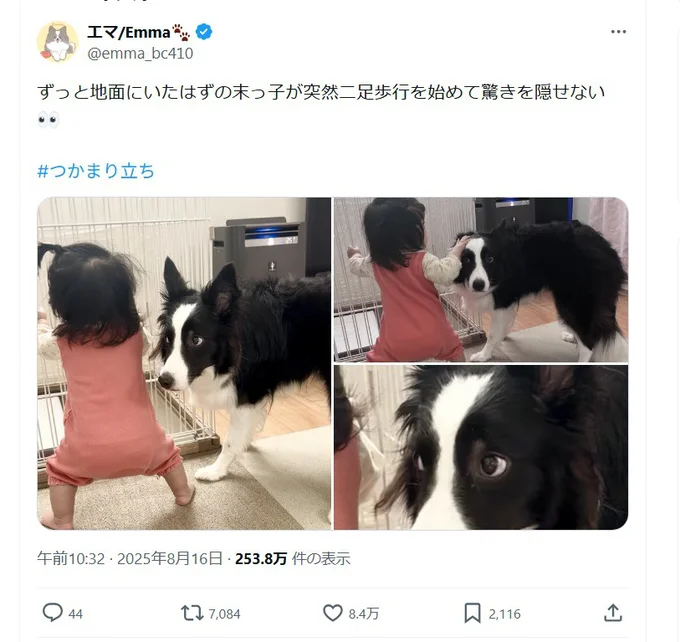 末っ子が突然二足歩行を始めて…▶驚きを隠せないエマちゃん（⇒次へ）