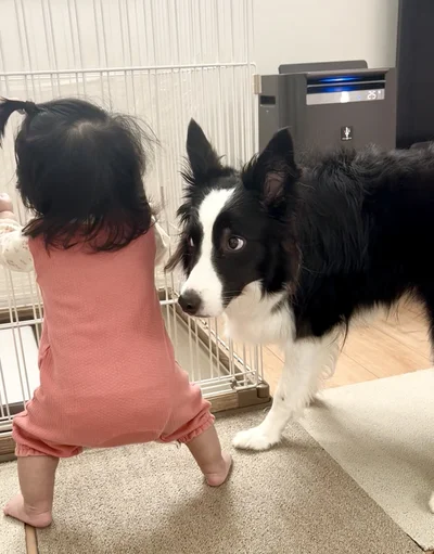 「え、犬じゃなかったの！？」▶初めてのつかまり立ちに驚くワンコ（⇒次へ）