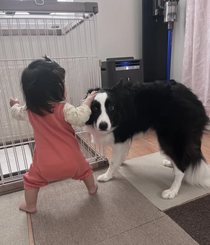 末っ子をやさしく見守るエマちゃん▶驚きの表情をアップで見てみると…（⇒次へ）