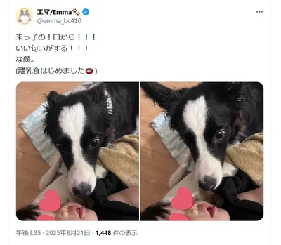 離乳食はじめました▶いい匂いに興味津々なエマちゃん（⇒次へ）