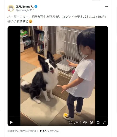お姉ちゃんからのコマンドは？▶コマンドをテキパキこなすエマちゃん（⇒次へ）