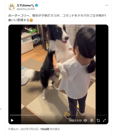 私にまかせて！▶コマンドをこなすエマちゃんの表情（⇒次へ）