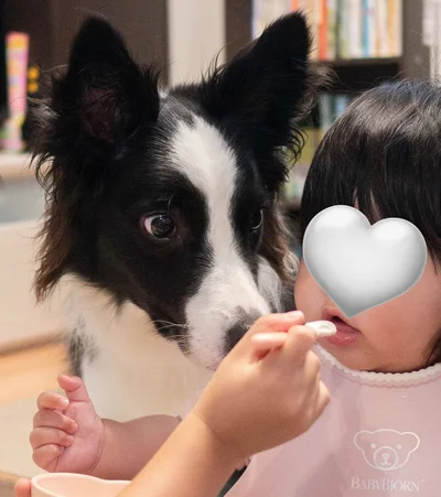 離乳食！？▶保育園をお休みしてほしい…（⇒次へ）