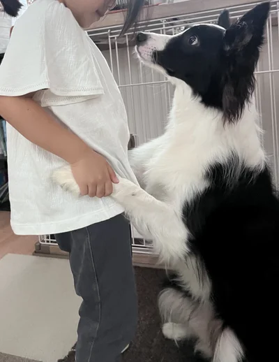 お姉ちゃん、今日はお休みじゃない？▶パピーのころのエマちゃん（⇒次へ）
