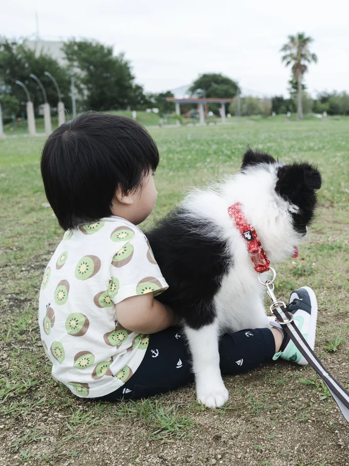 お兄ちゃんとも仲良し♪▶2024年生まれ組のエマちゃんと末っ子ちゃん（⇒次へ）