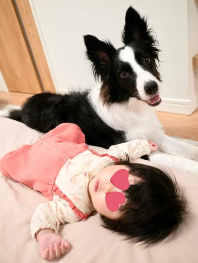 一緒にすくすく成長中▶うつ伏せ練習を頑張る末っ子ちゃんを見守り中（⇒次へ）