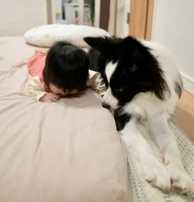 そっと寄り添うエマちゃん▶お昼寝を見守り中（⇒次へ）