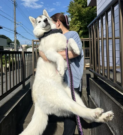 満足そうな表情！▶びっくりした表情も注目を集めました（⇒次へ）