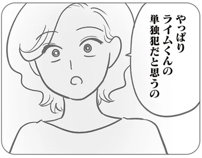単独犯だと思うの
